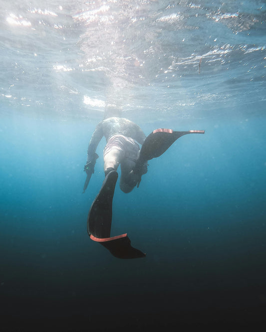 SpearSense : Your Introduction to Spearfishing in the South of France